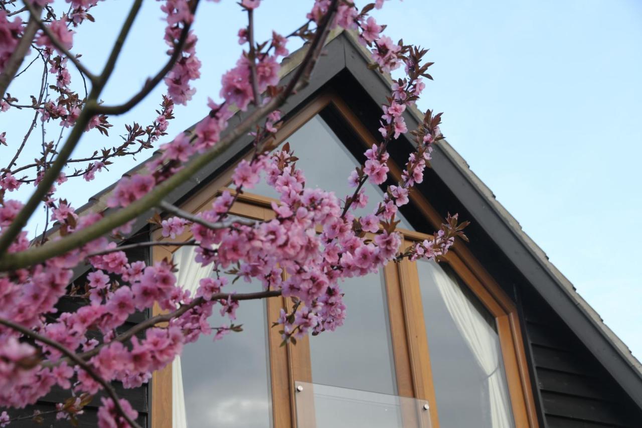 Superb Stokesby Barn Apartment - Norfolk Broads & Norwich Eksteriør bilde